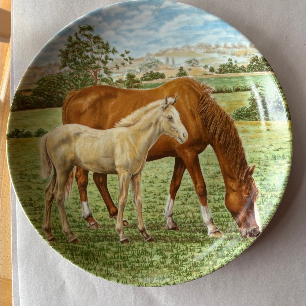 Vintage Limited Edition Collector Plates Horses from Kaiser West Germany - Picture 2 of 5
